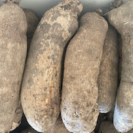 SWEET YAM