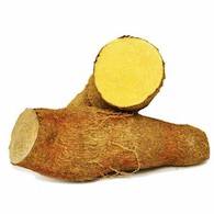YELLOW YAM