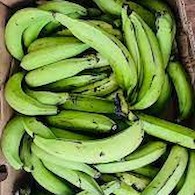 APPIM PLANTAIN