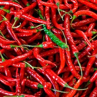 HOT PEPPERS
